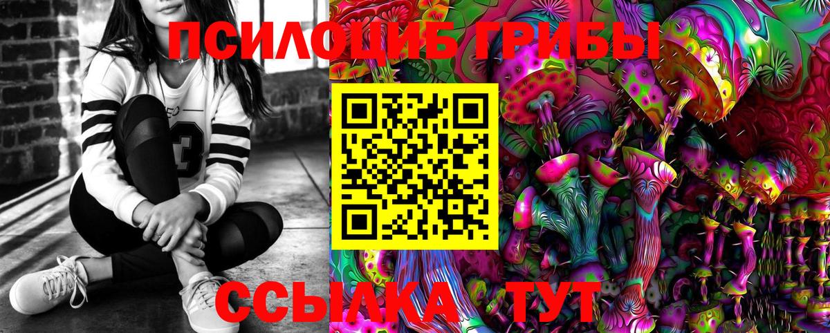 Биробиджан  Псилоцибиновые грибы мицелий  Вход с VPN 